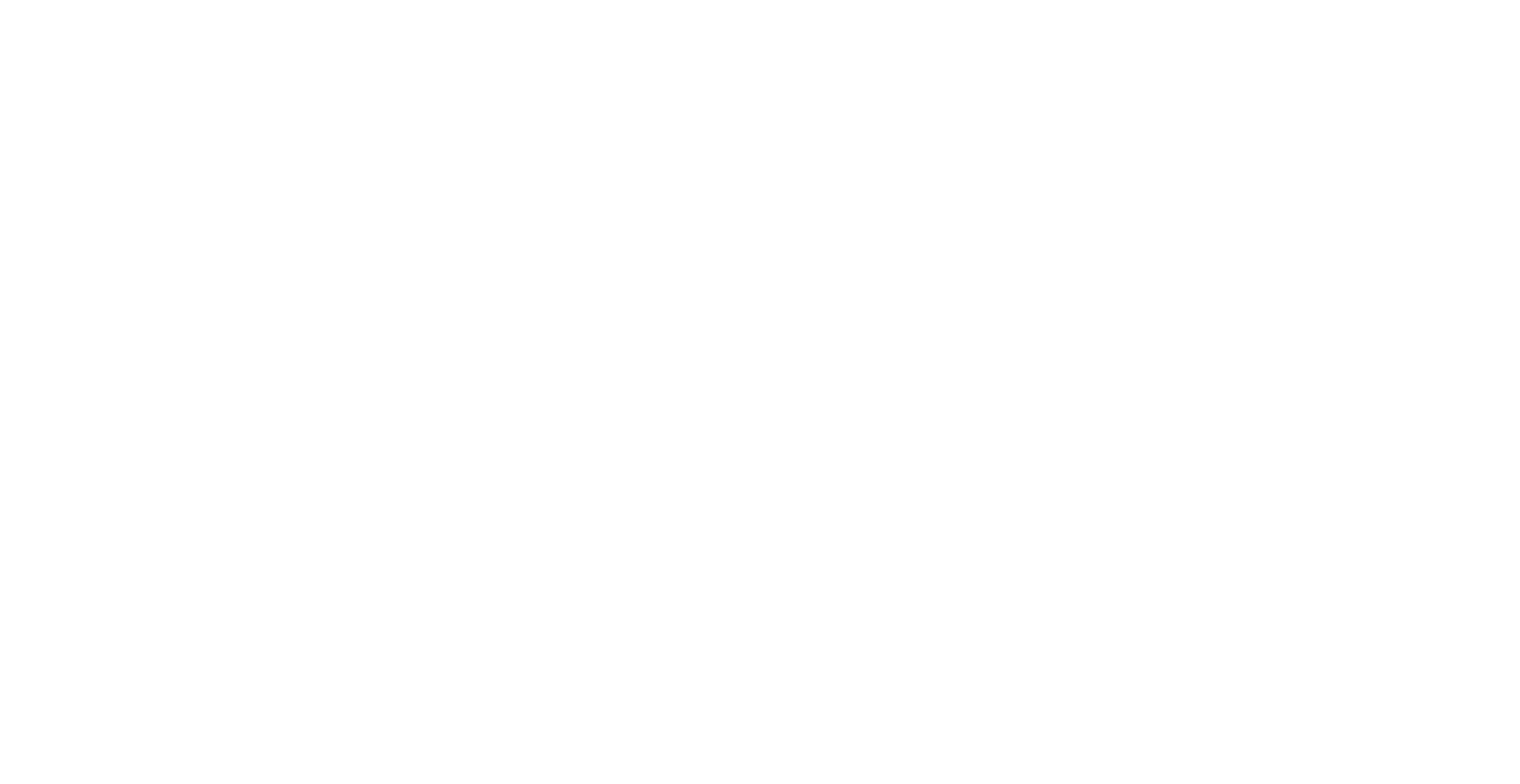 Risk 1 Consulting - A Strategic Solutions Company